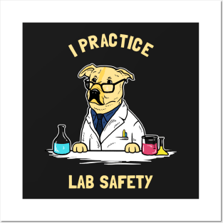 Practice Lab Safety Posters and Art